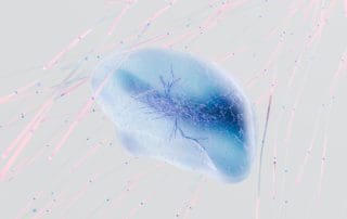 Scientific Creativity: Optimising your digital assets with neuroscience